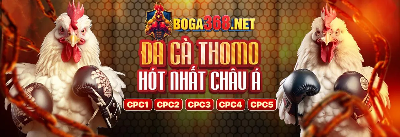 Hình ảnh chính trang đăng nhập 0mm88